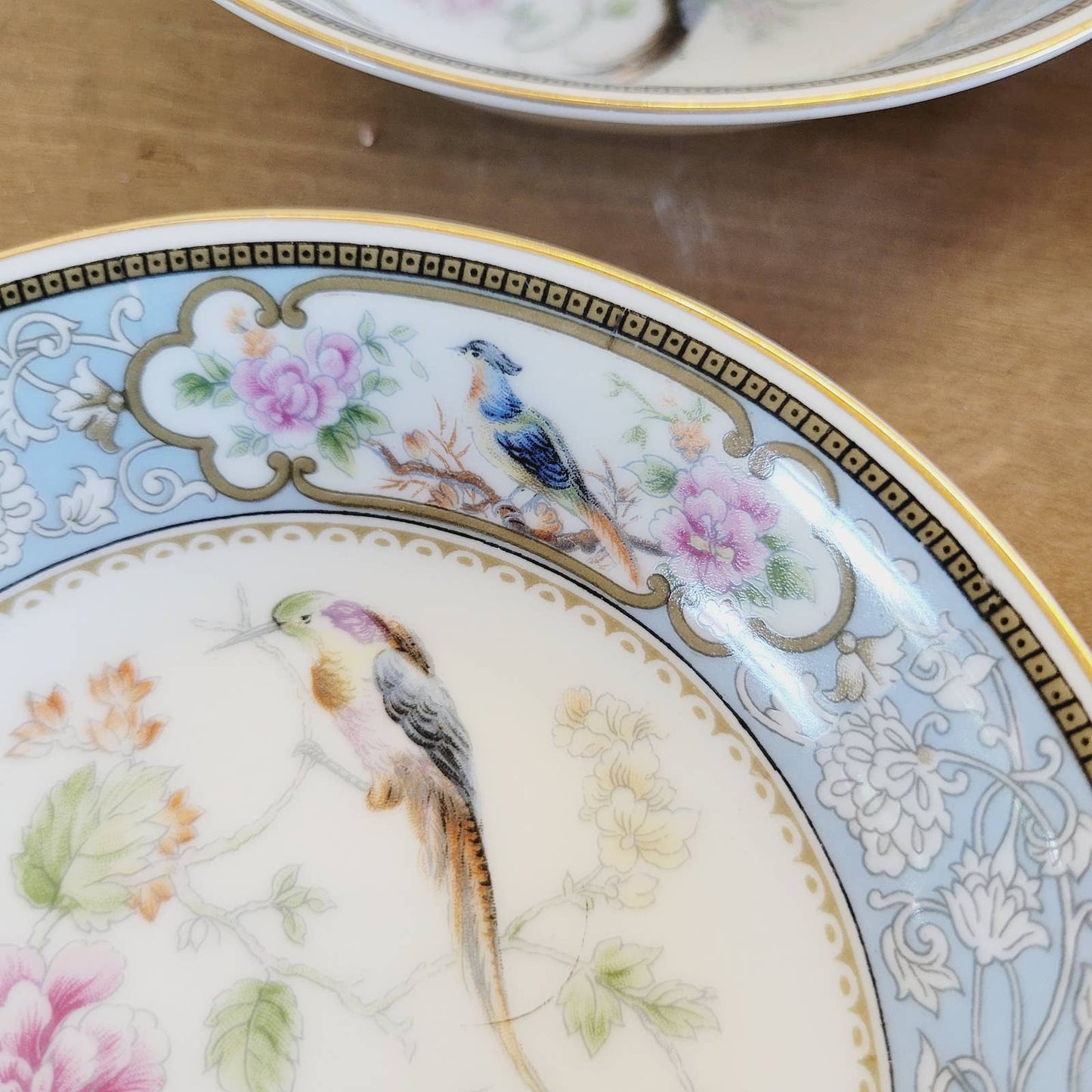 (6) 1920s Hutschenreuther Fruit/Dessert/Sauce Bowls Bird of Paradise