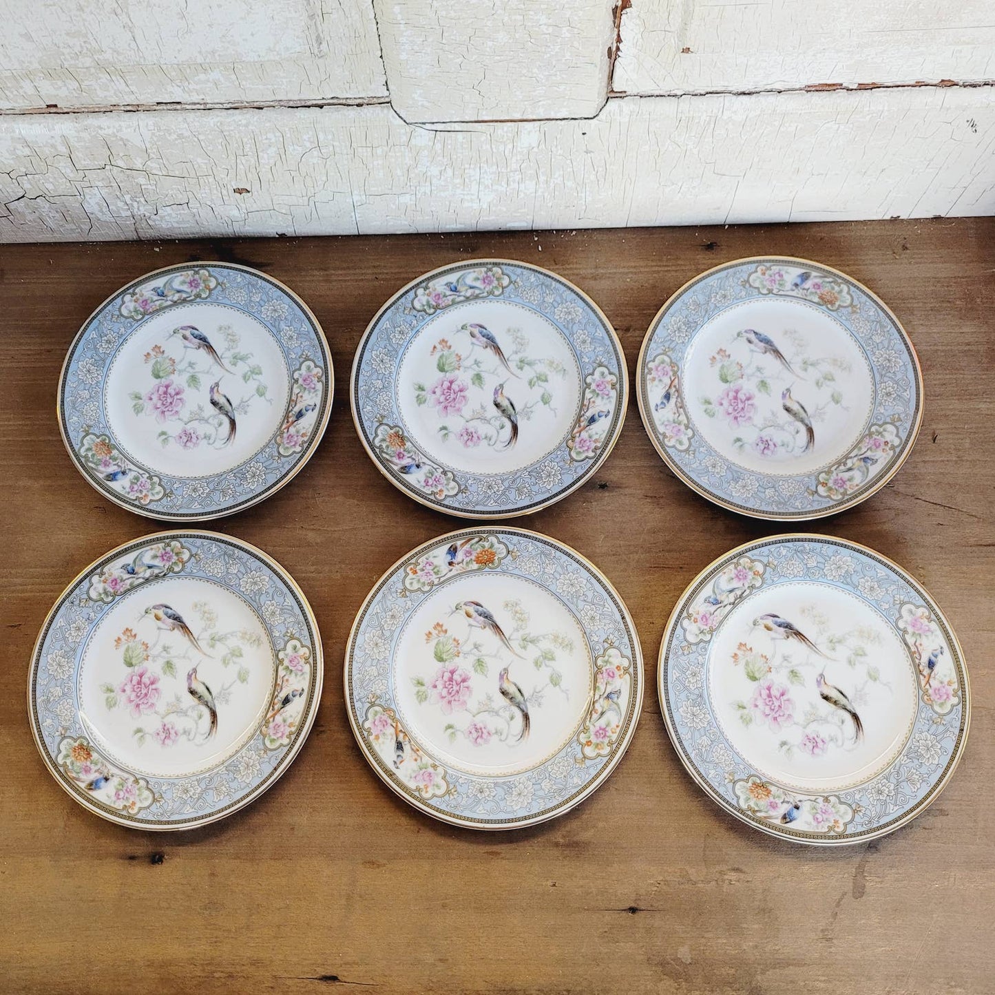 (6) 1920s Hutschenreuther Bread & Butter Plates Bird of Paradise