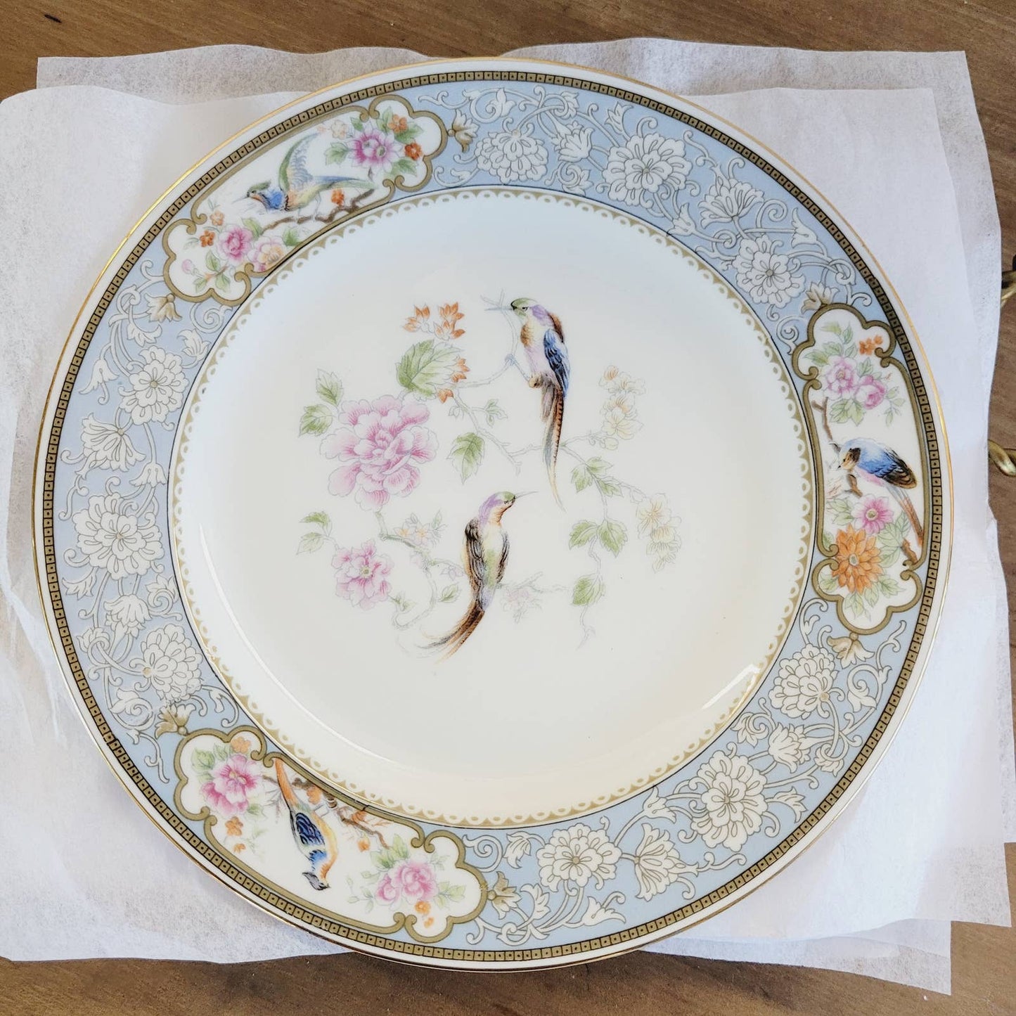 6 1920s Hutschenreuther Luncheon Plates Bird of Paradise