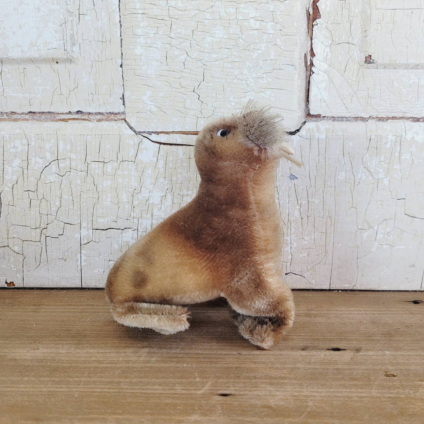 Vintage Steiff PADDY Walrus