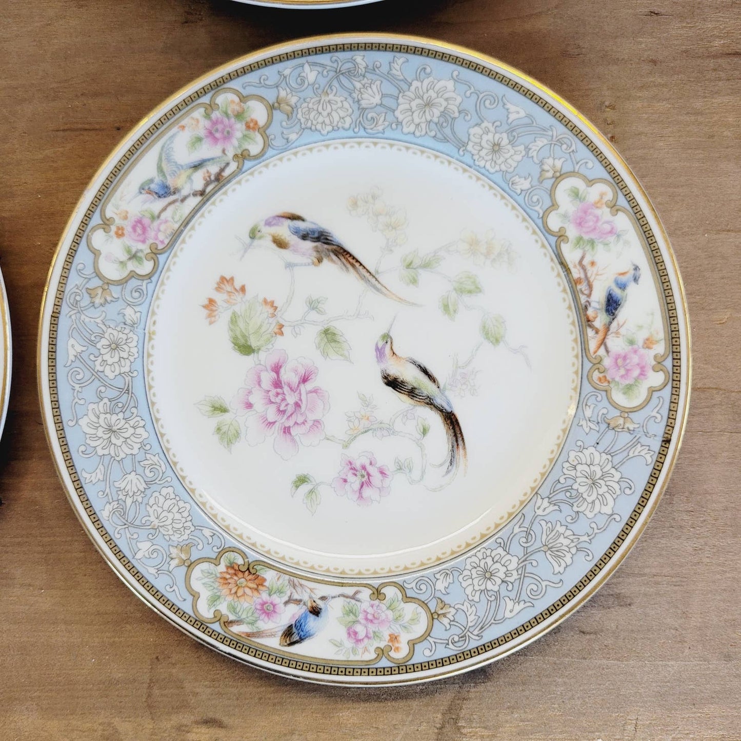 (6) 1920s Hutschenreuther Bread & Butter Plates Bird of Paradise