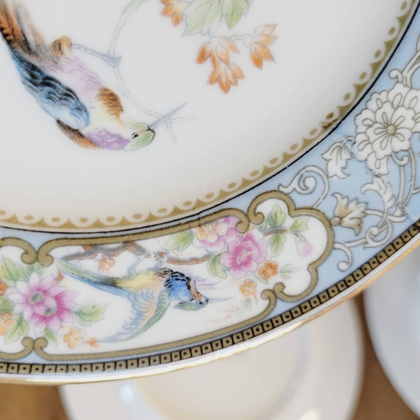 (6) 1920s Hutschenreuther Bread & Butter Plates Bird of Paradise