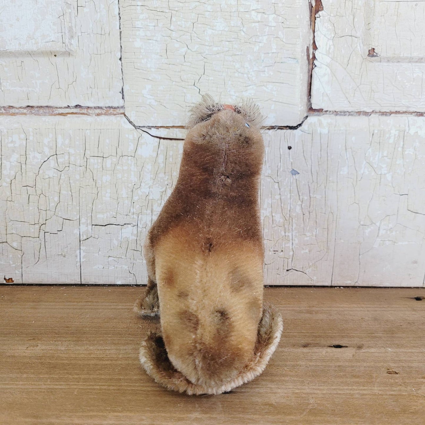 Vintage Steiff PADDY Walrus