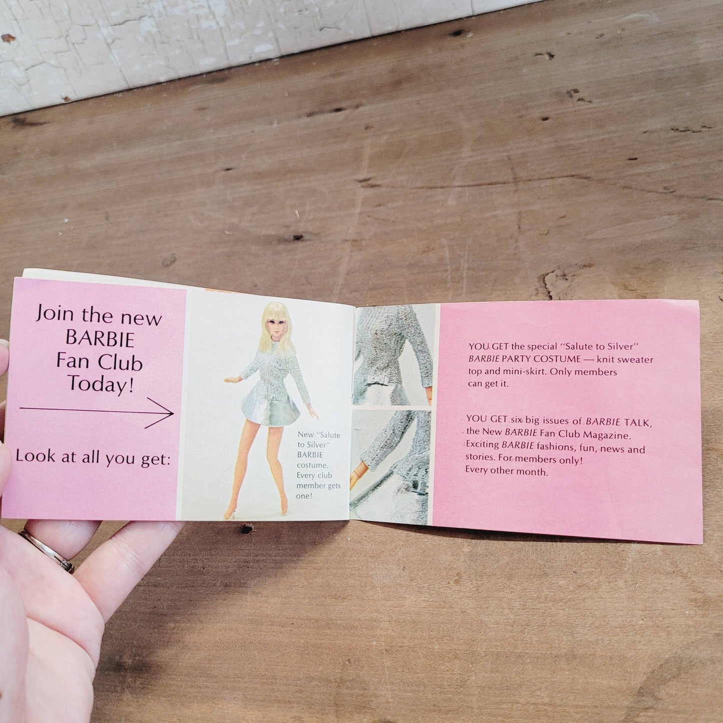 Vintage MOD Barbie "Living Barbie Living Skipper" Booklet