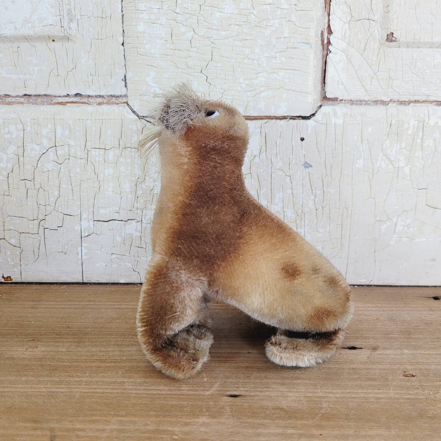 Vintage Steiff PADDY Walrus