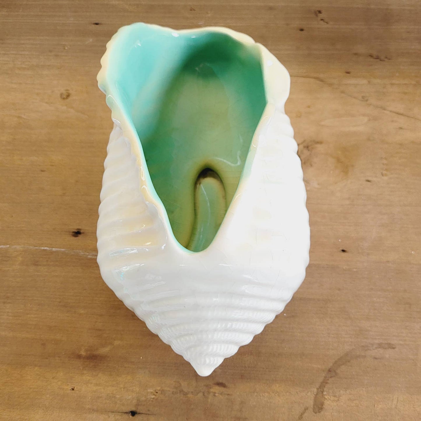 Roseville Ming Tree Conch Shell Planter