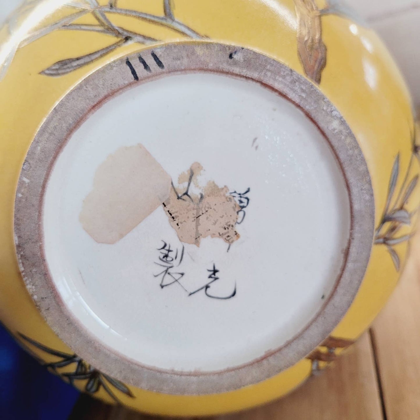 Antique Japanese Porcelain Vase with Butterflies and Blossoms