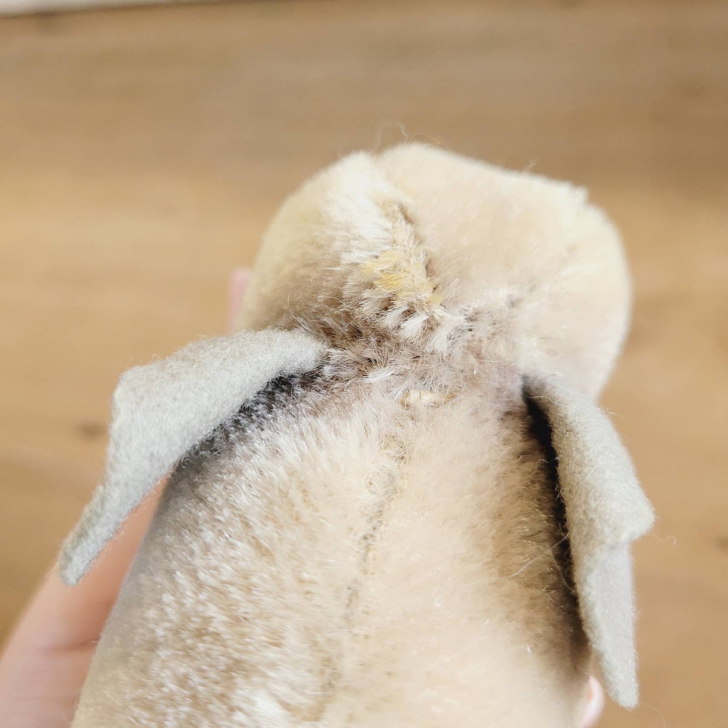 Vintage Steiff Standing Elephant Mohair With Tusks