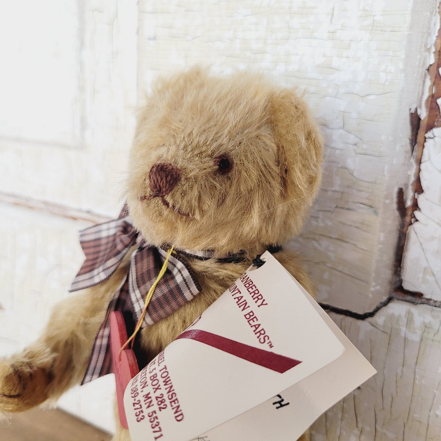 Cranberry Mountain Bear Walter Mohair Teddy Bear 1990 Muriel Townsend 7” Jointed