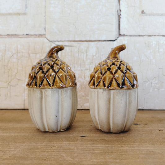 Autumn Fall Acorns Salt and Pepper Shaker Set