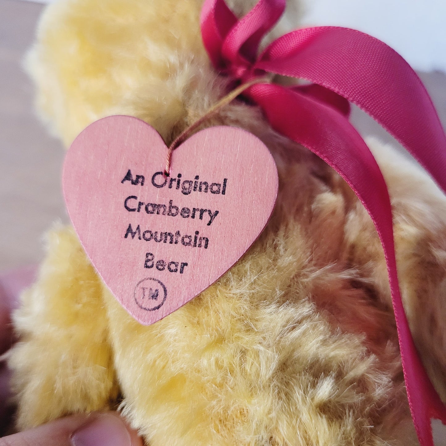 Vintage Cranberry Mountain Bear, "Huey" Mohair Teddy Bear, 10", Muriel Townsend