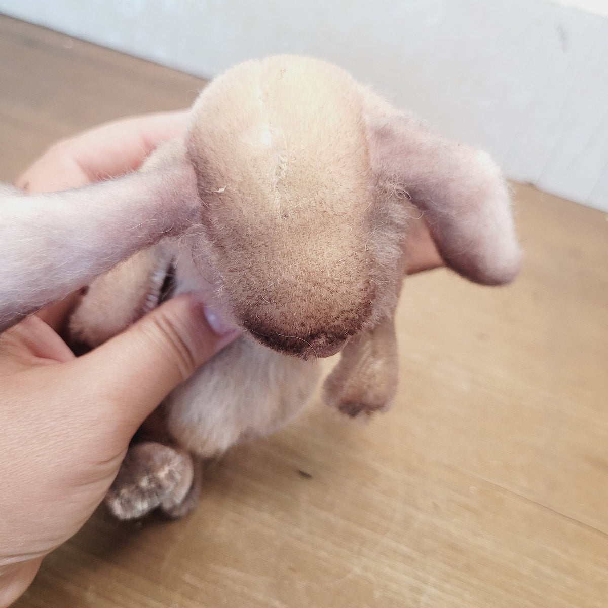 Mary Wimberley OOAK 7" Lexie Sleepy Bunny Jointed Artist Mohair Alpaca 2004