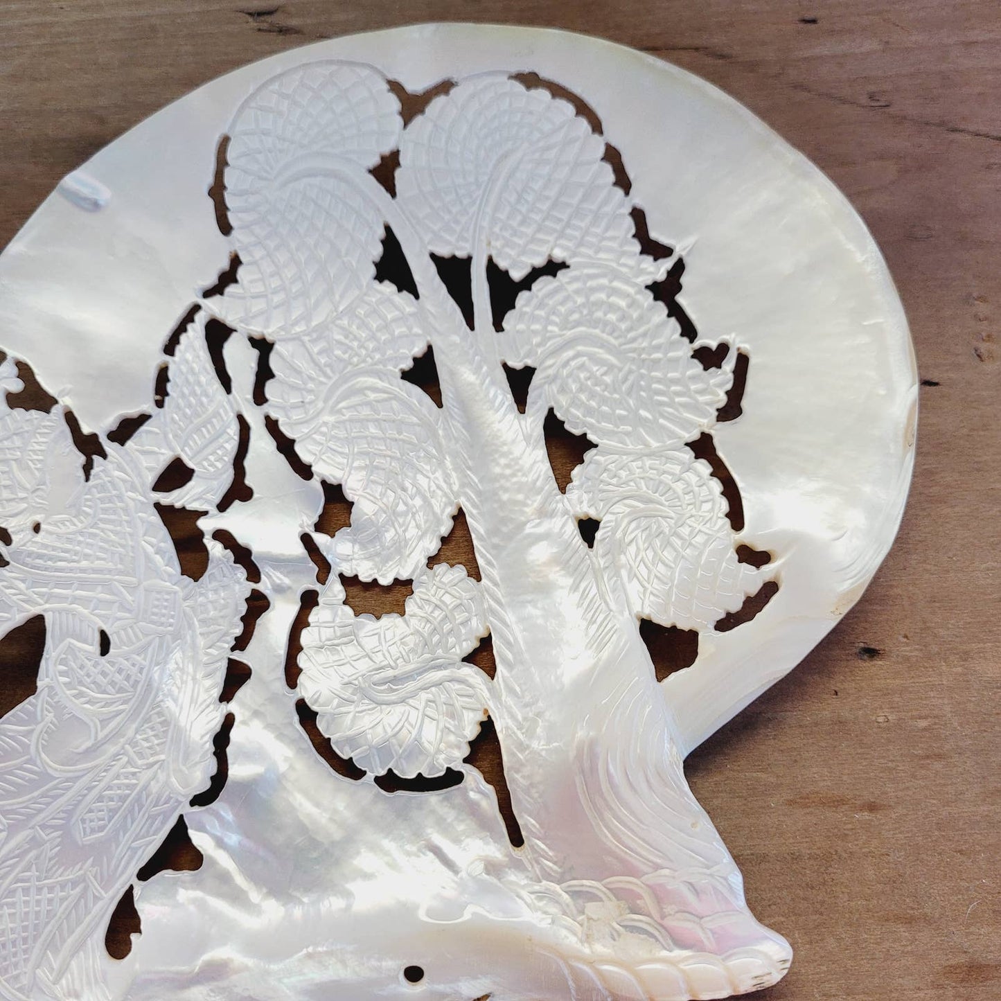 Vintage Carved Mother of Pearl Shell