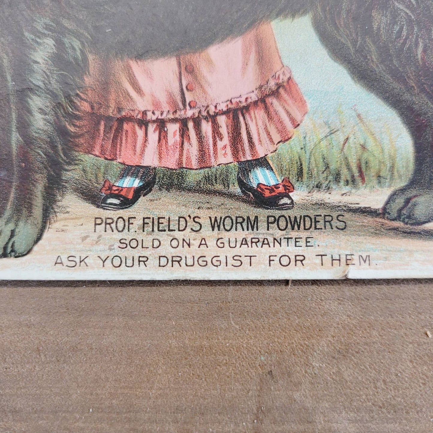 Victorian Trade Card Prof Field's Topeka Kansas Worm Powder Girl Big Dog