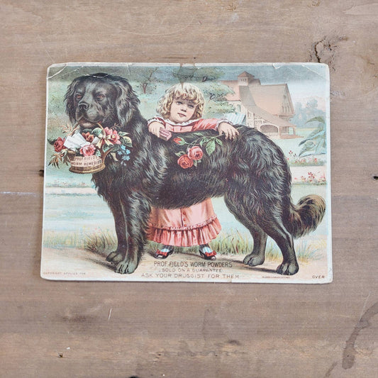 Victorian Trade Card Prof Field's Topeka Kansas Worm Powder Girl Big Dog